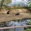 IMG 20240407 105005770